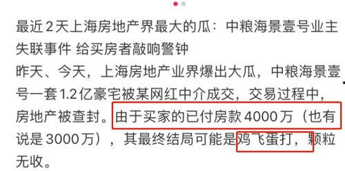 网红大瓜小说免费阅读